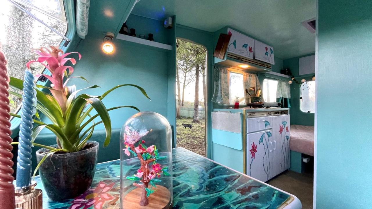 Ir Por Ai Arrabida Otel Azeitao Dış mekan fotoğraf