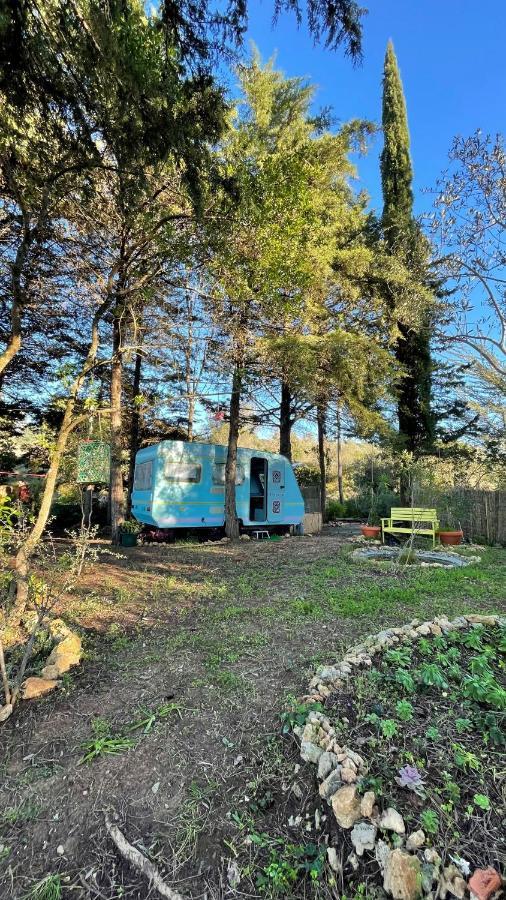 Ir Por Ai Arrabida Otel Azeitao Dış mekan fotoğraf