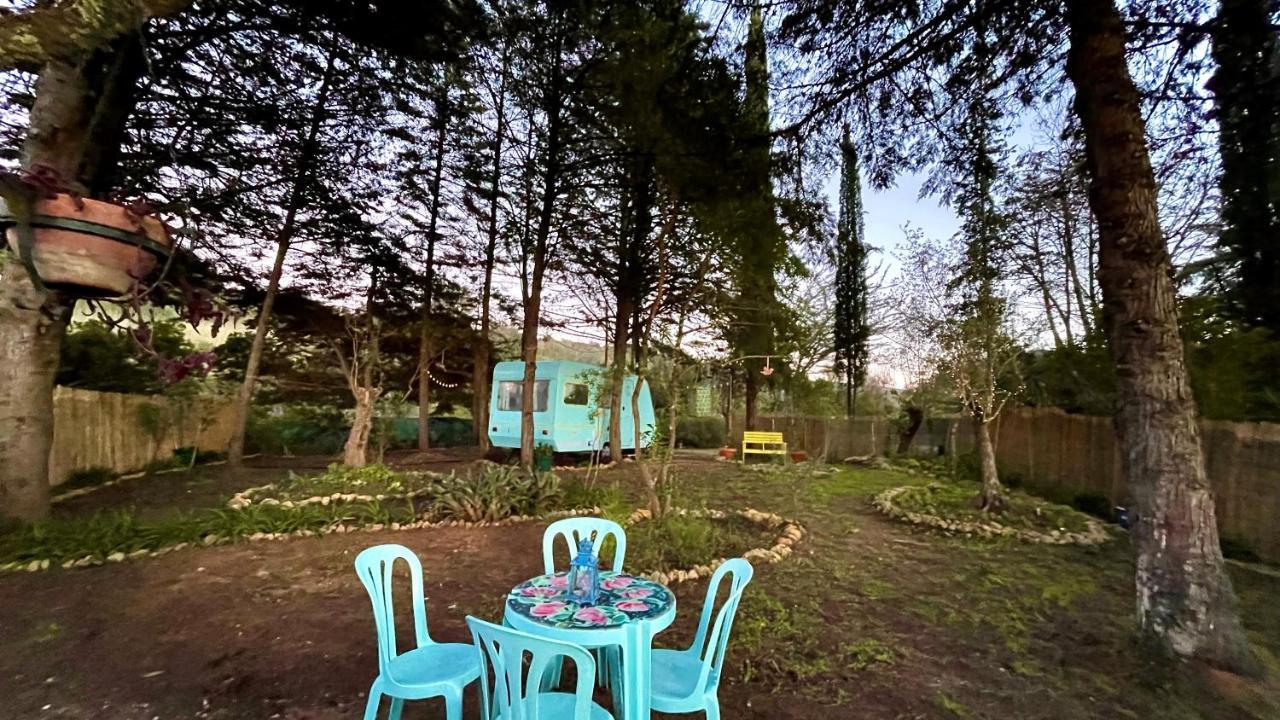 Ir Por Ai Arrabida Otel Azeitao Dış mekan fotoğraf
