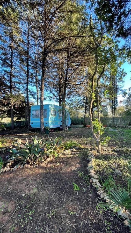 Ir Por Ai Arrabida Otel Azeitao Dış mekan fotoğraf